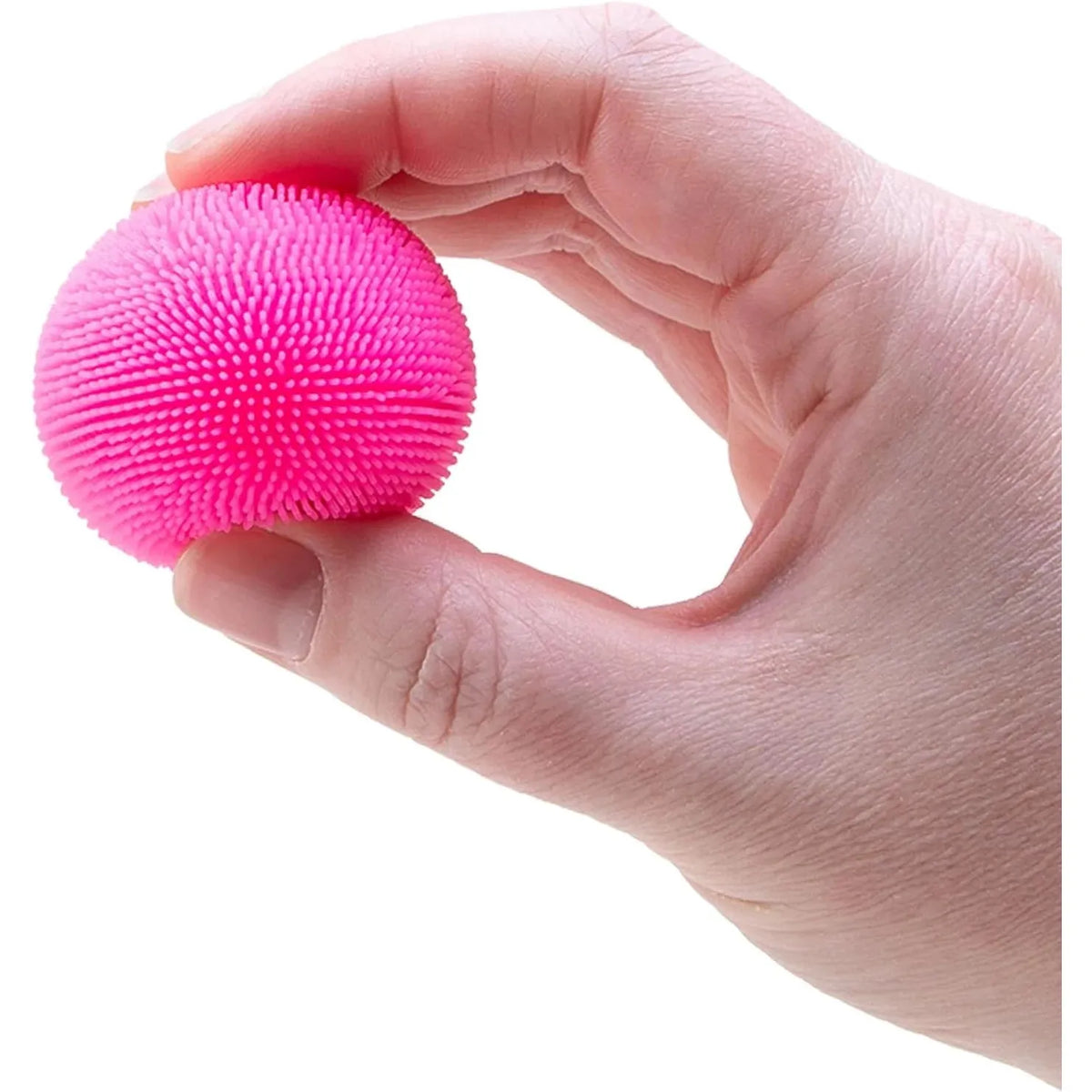 Teenie Fuzz Ball Needoh Multipack